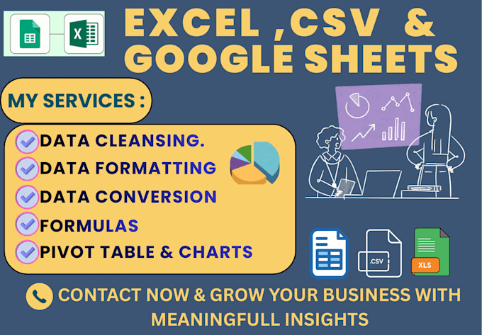 do data cleaning ,formatting and pivot tables ,charts