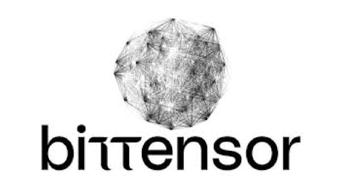 be developer for bittensor