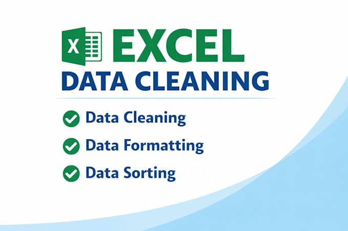 clean, format and organize excel data entry