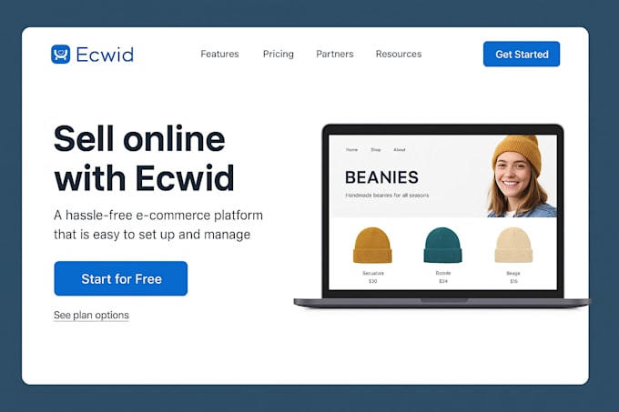 build ecwid store website, online store, website design, ecommerce store, expert