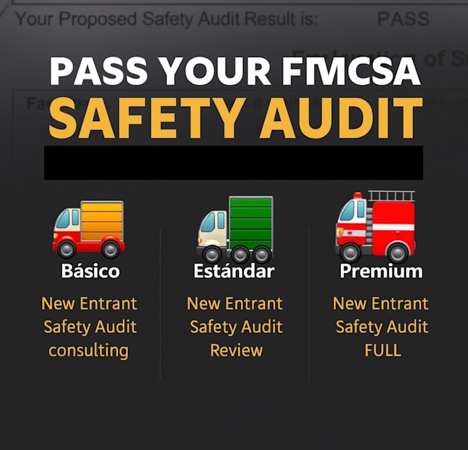 help you prepare for the new entrant safety audit