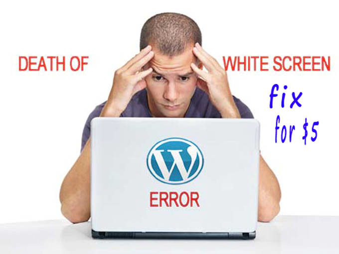 fix any wordpress error for small business website