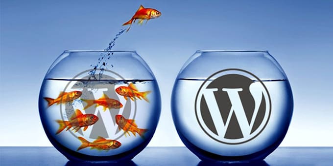 transferring a website to hosting or creating a backup copy