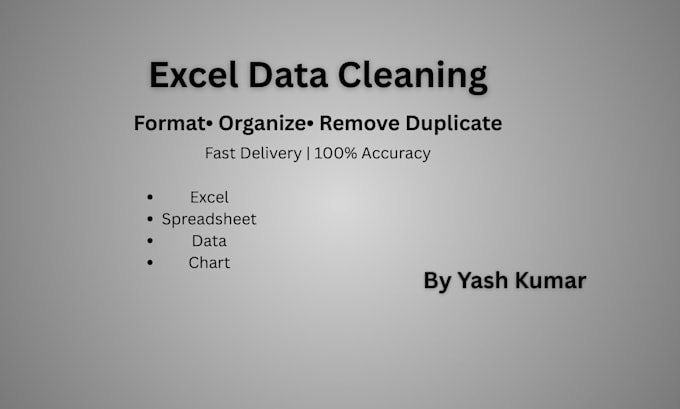 clean, format and organize excel data professionally
