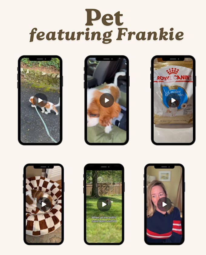 create an amazon influencer video for your dog product