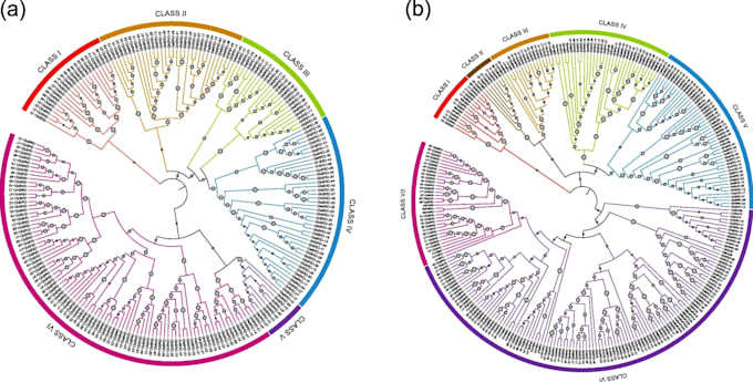 provide complete bioinformatics, gene expression, and data analysis solution