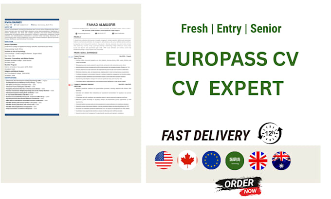 create professional europass CV for you