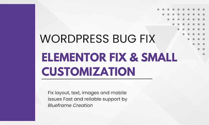 fix wordpress issues or customize your page fast