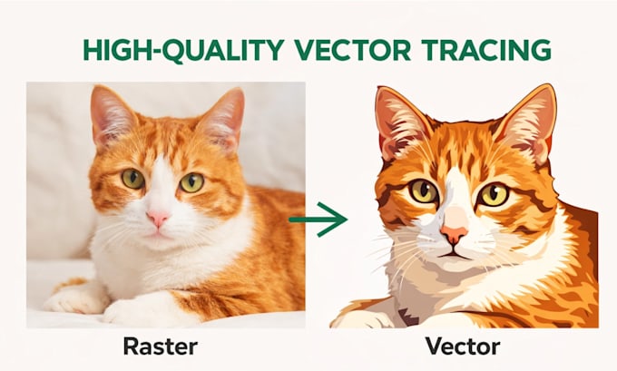 do raster to vector