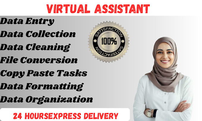 do data entry, data cleaning, data searching and conversion