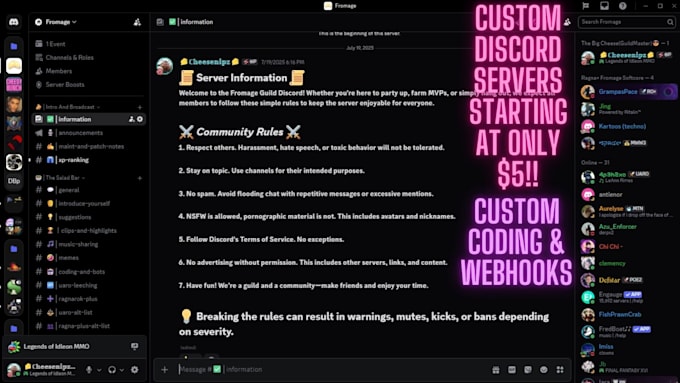setup a custom discord server, bots, plus extras