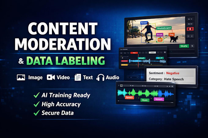 professional content moderation and data labeling