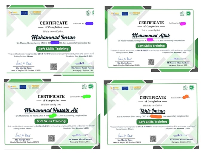 professional soft skills certificate for visa work, immigration