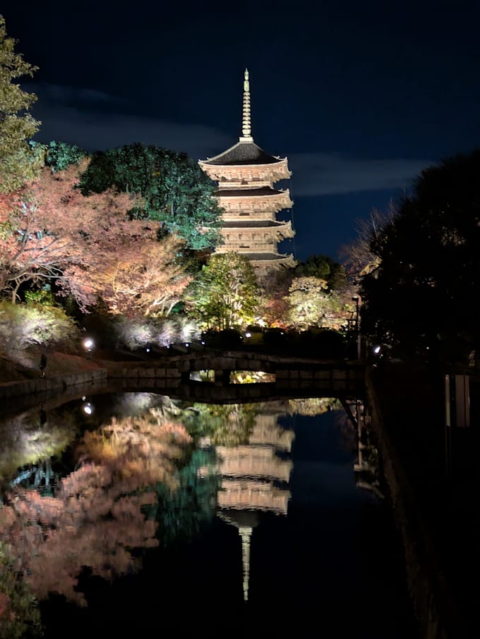 create your japan plan with local