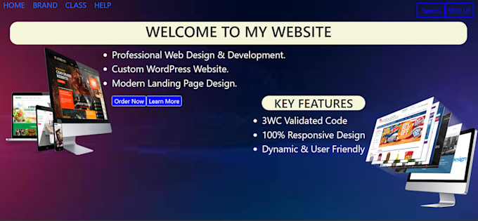 build website  and development