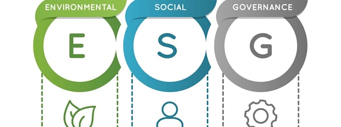 provide sustainability esg and reporting