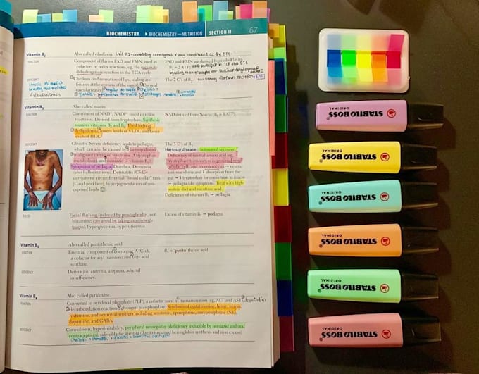 tutor biochemistry and neurosciences for usmle step 1