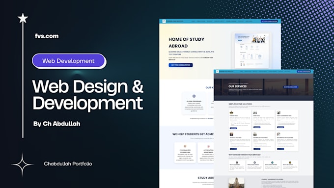 develop a professional mern stack web application or website