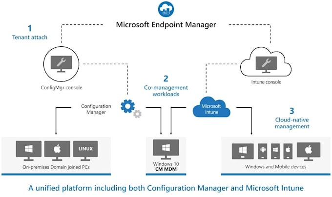 help to fix your ms intune issue