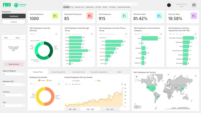 Build a professional kpi dashboard using power bi by Fiza_azd | Fiverr