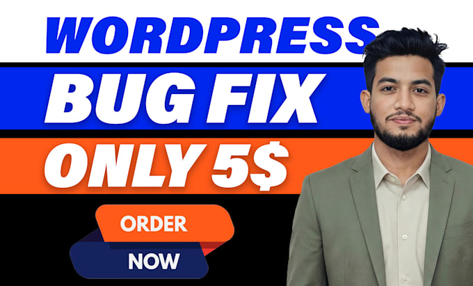 fix wordpress bugs, errors, and website issues