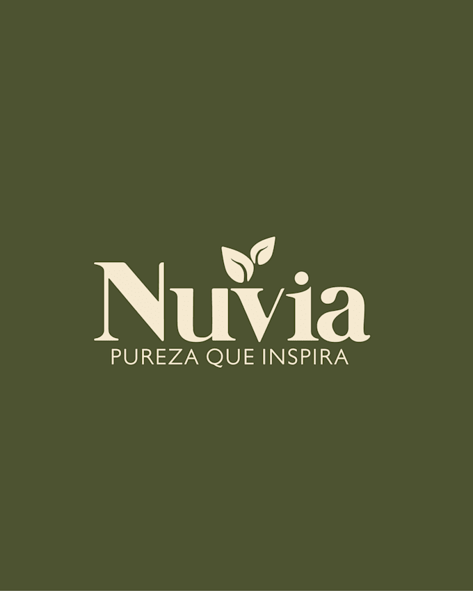 modern brand and visual identity design
