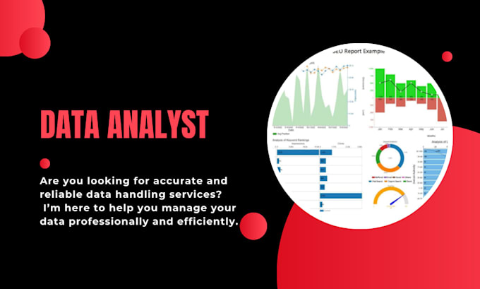 do data handling data analysis and excel formulas professionally