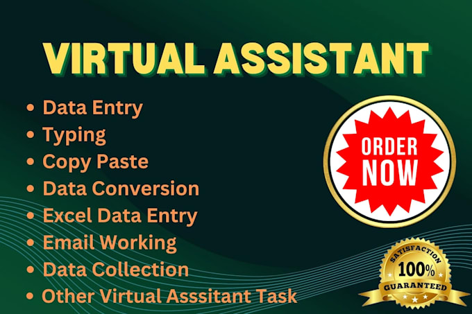 be your full time virtual assistant for data entry, excel, pdf and research