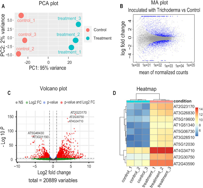 do your rnaseq analysis