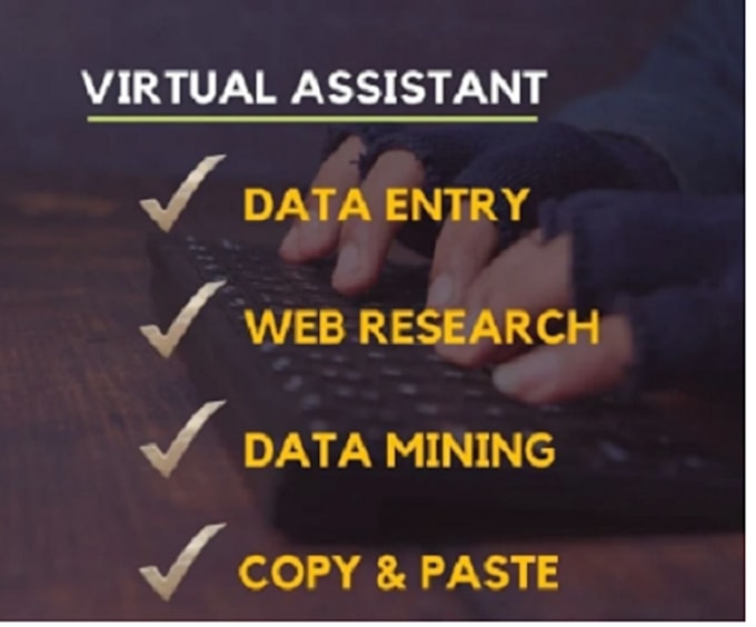 do copy paste data entry, web research and exel data entry