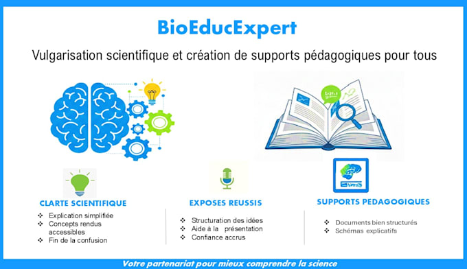 write clear and professional articles in french