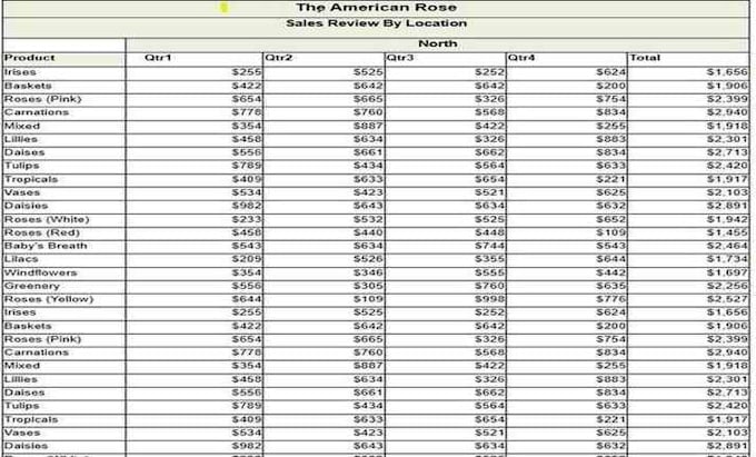 clean, format, sort, filter, merge, and split excel data