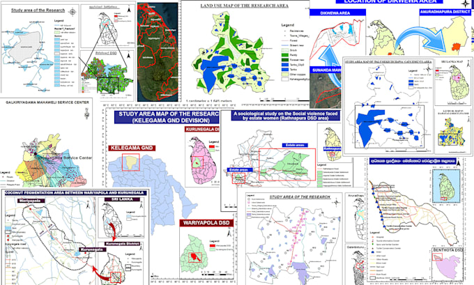 provide professional gis mapping, spatial analysis, and remote sensing services