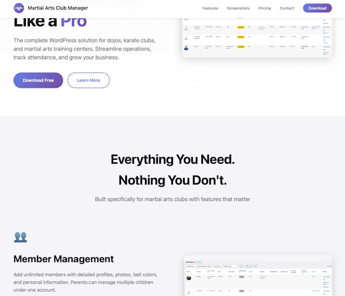 maintain, fix, and optimise your website