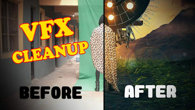 provide professional vfx cleanup with object and wire removal