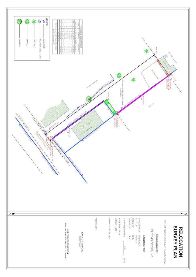 custom land survey mapping and plotting for your property development
