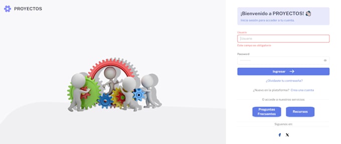 develop a professional web application for your business