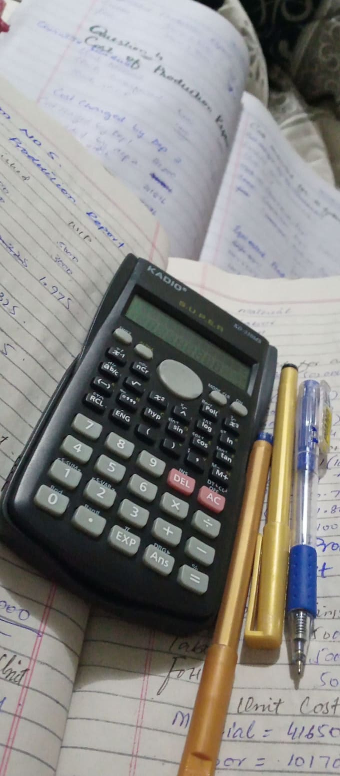 do data entry tasks with efficiency and professionalism