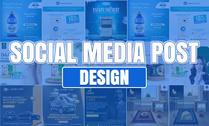 design furnitures, digital marketing, clothes brands posts