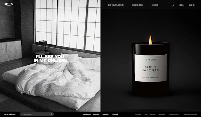 design and build a minimal, premium shopify website