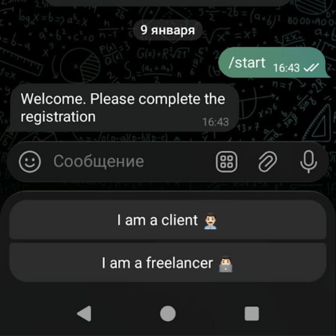 create tg bot using python