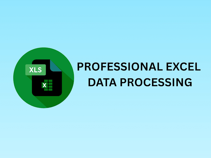 create and format professional excel spreadsheets and process business data