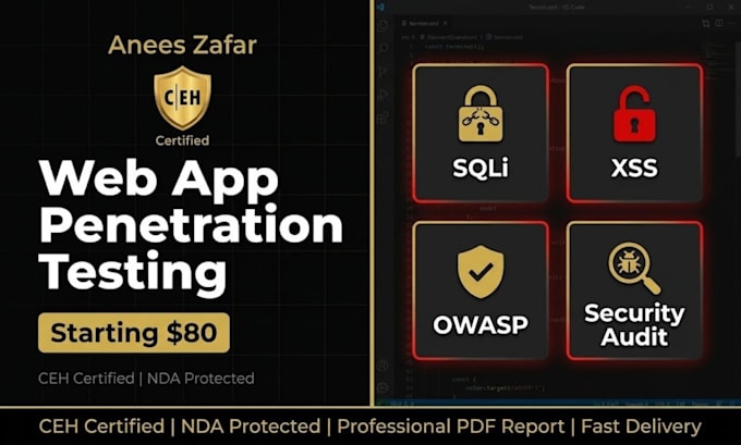 perform web application penetration testing and security audit