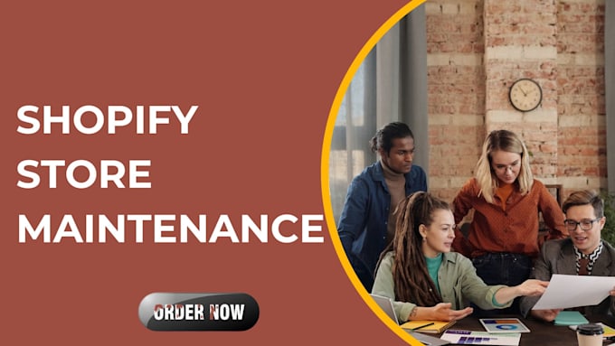 provide professional shopify maintenance and support
