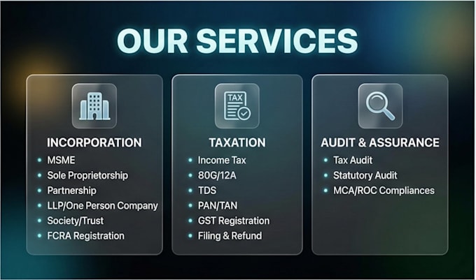 provide professional ca services for your business
