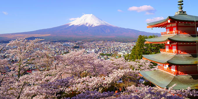 offer comprehensive support for all japanese language related tasks