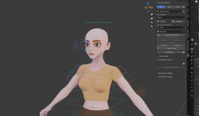 Daz rig, face track, livestream model, ik fk, 3d character rigging ...