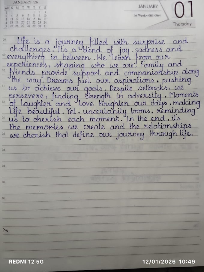 handwrite any note or PDF cursive print or custom style real pen on paper