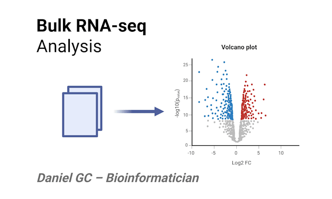 analyze your bulk rna seq data and deliver clear, publication ready results