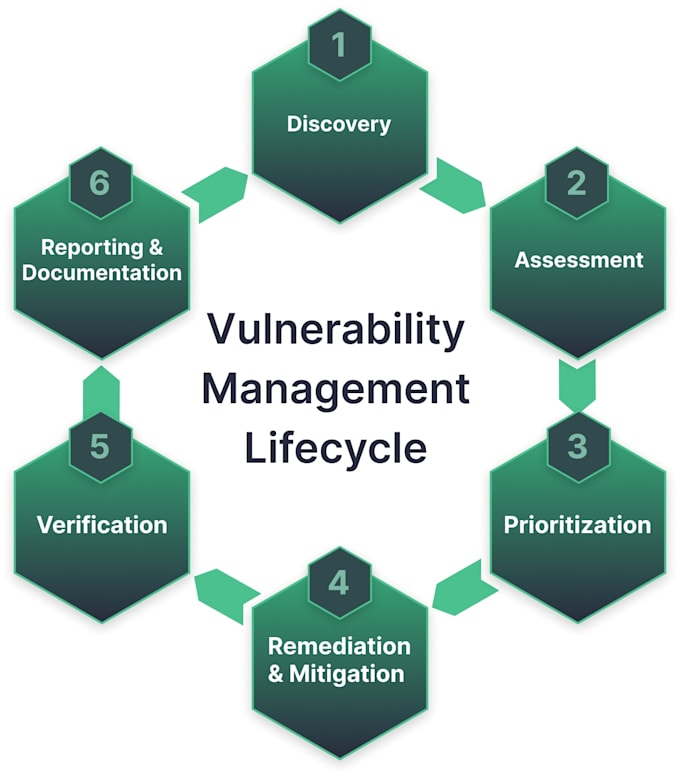 Enterprise vulnerability and risk management by Shivrajsingh948 | Fiverr